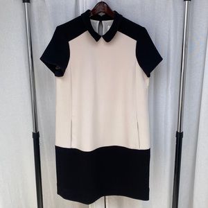Kate Spade Shift Dress Cream Black Collar Pockets Short Sleeve New with tags